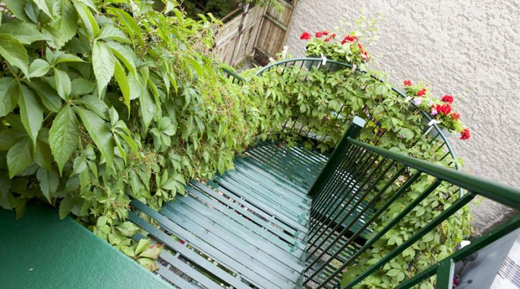 Gite Du Parc Lafontaine Montreal Exteriér fotografie