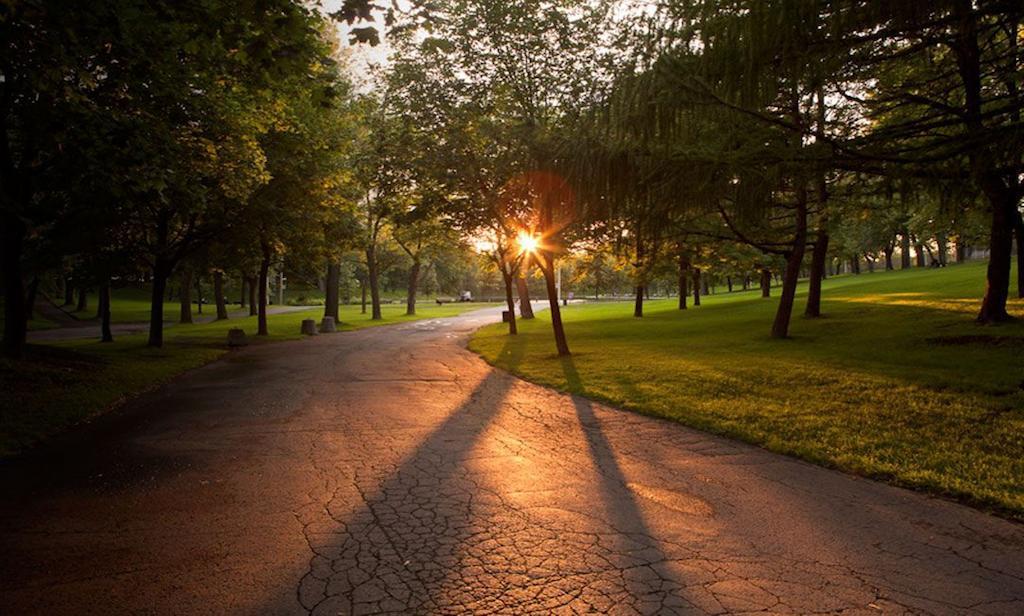 Gite Du Parc Lafontaine Montreal Exteriér fotografie